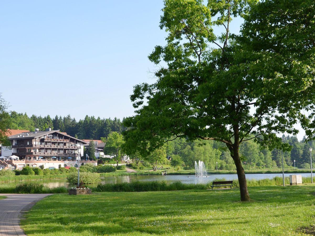Bocksbergblick Fewo Auszeit Goslar Bagian luar foto